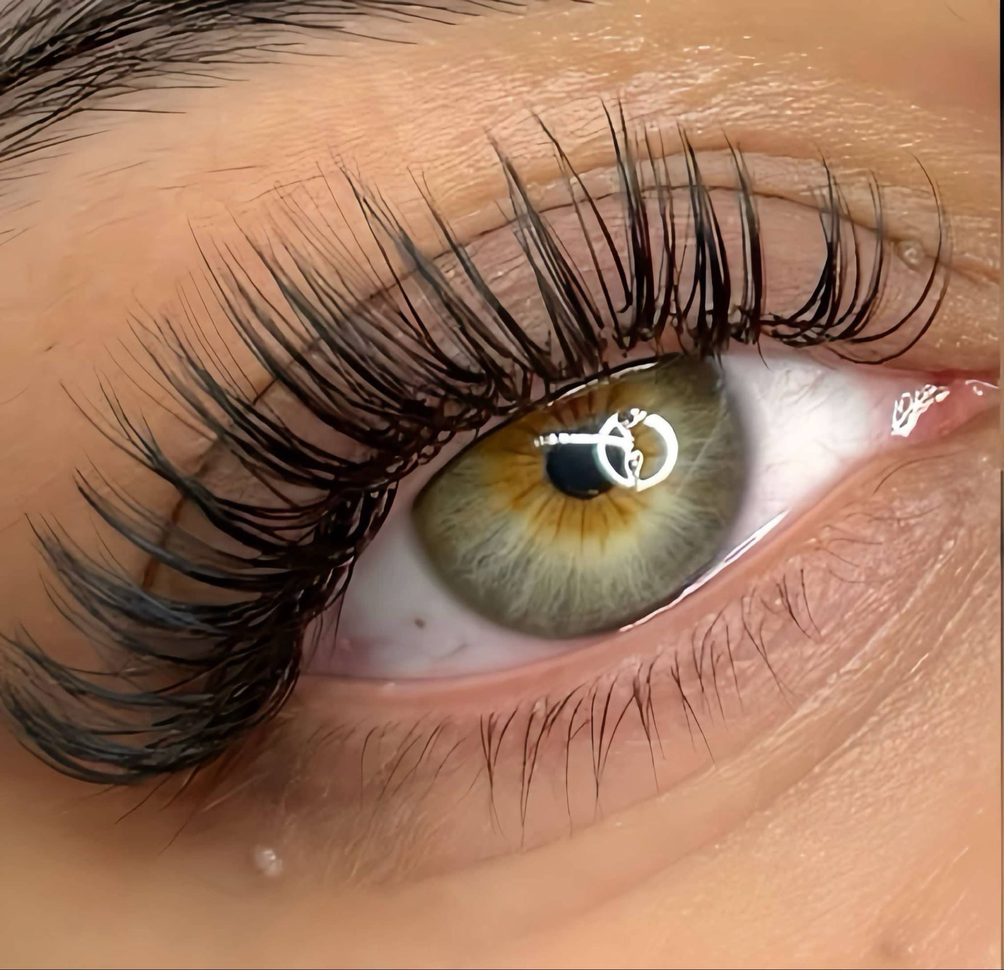 Wet Look Lash